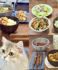 ���˿��°������������һ������ê��