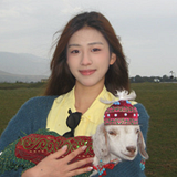 ˵˵�����¼���V5