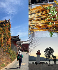 ���ٴ����Լ�������֦��������������ʳ��