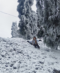 �������������