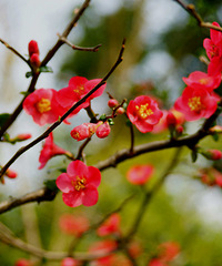 [����]����������÷԰��÷�����ˣ�ûʲô�ˣ��������øϽ�ȥ