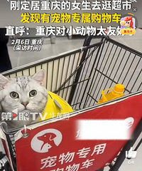 �������Ƕ����Ѻó��У��䳬��Сè������ר�����ﳵ