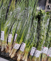 [����]����۵Ĳ˻����ܸ߳������˵��ĳ��У��ҵĿ���ԴȪ