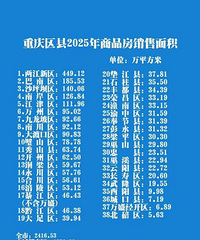 2025������������Ʒ���������