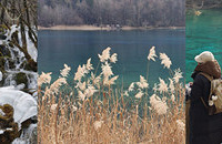 ������һ�¾�կ������Ȼ�����������۵�����