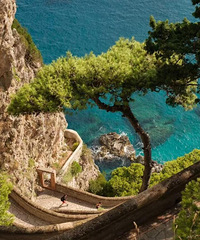 ����Ҳ��̼ˮ����