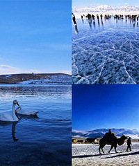 ����ȥ��������ľ�����������̫����