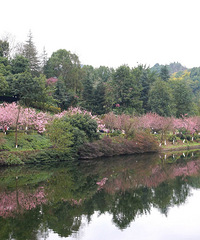 ԰��԰ɹ̫��