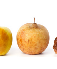 ���������Ǽ۸���ն�����ڸб��ˣ�