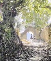 ������ƽ�ز��Ϲŵ�