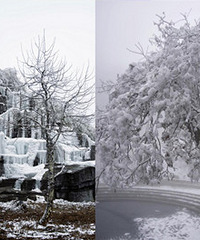 �������ѩ�����治������Ȼ���б���