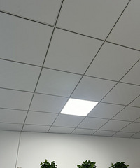 ��˵���ڻ�û�żٵ��ˣ���λ�컨�嶼����������