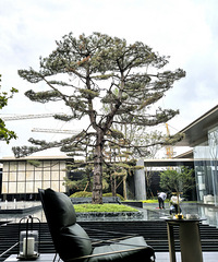 ����װ���ǲ��ǲ���Լ�ɱ�Ŷ������ֻ��15%����