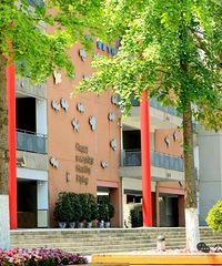 ����л����ѧУ�ҳ�����������Ӱ��һ�������