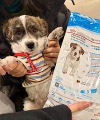 ���Ͼ���������ˣ���������ͨ�������