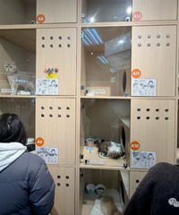 �����ǣ����˶̶���������9000Ԫ��