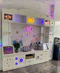 [����]����ĸ������װ����Ц�ˣ�����֪����ʲô�м�������