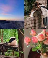 ɹɹ�����е�С����