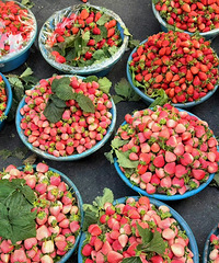 ����֦��ʵ����ˮ������