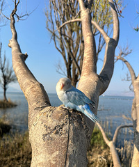 [����]����ȥ�������˺ü�������꣬��Ȼû������ʧ��