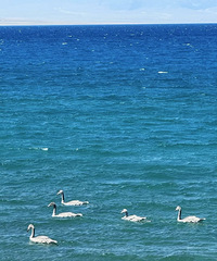 �����ҹ��۵Ļ�������Խ��Խ�ֻ�