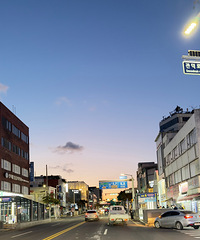 ���ڼ��ݵ������Ρ�