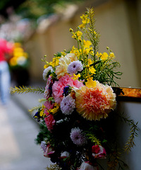 ���봺�ڻ�չ