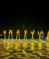 ����ȥ�㶫������ɹ̫������Щ��ó������Լ۱�