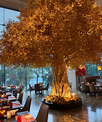 ȥ����������Ǽ��Ƶ��������˵˵��ȱ��