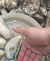 �����Լ�¶Ӫ��������տ����ï��������