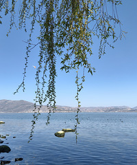 ��һ���㴺�����������Ƭ����������Ҷ�ȥ����