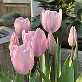 ����ů�������㶼����