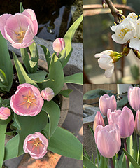 ���������ů�������������ƿ���