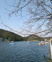 ƻ��13PתOPPO Find X9ʹ�ø�