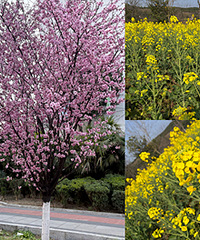 �������˻������ˣ����ⰻȻ����ʤ��