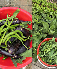 �������������Ƽ����׵����Ӻͷ���