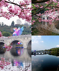 ��������ã�԰��԰ӣ��������