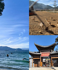 �Լ�����-����-�����-����-��ͨ��һ·����