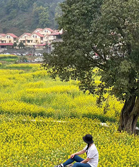 [��ʱ]��ɿ�����ɽ�ϣ��ºϴ���Ͳ˻����ˣ��ײ���Գ���