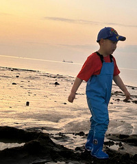 ����ȥ��������