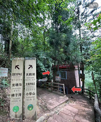 [·��]�����Բ��ͽ��ĺ��ɭ�֣���С���߹��ԣ�����С�׶��Ѻ�