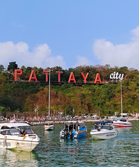 �����ڼ�6��5�������Ÿ����ε�������Щ���ӡ�