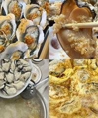 տ�������̫�ó��ˣ�һ������5��