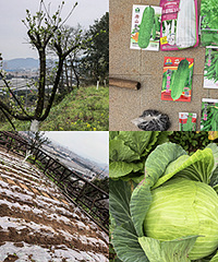 ���˿�أ���ʼ����Ĵ�������