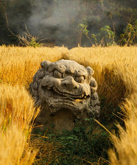 ȥ���ϰɣ�����ϸ9���г̣���ȷ������