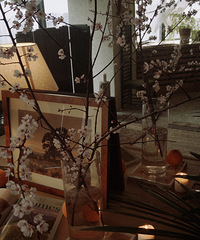 ·�߼�Ļ�֦���ûذ칫�ң��û�ƿ�������ÿ�����