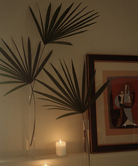 [����]·�߼�Ļ�֦���ûؼ��û�ƿ������������һ���ܺõİڼ�