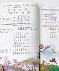 һ���ὲ�ε��飬���ɸ㶨Сѧ������