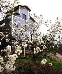 [�ͻ�]ͽ��ӣ�ҹȣ�һ·ӣ�һ����ӻ����Ͳ˻�������ô���