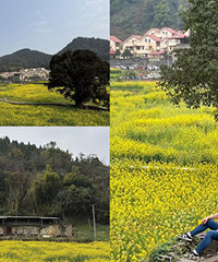 ��ɿڣ���һ�ִ�����Ͳ˻���